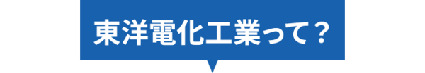 東洋電化工業って？